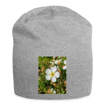Felsenfingerkraut Felsen-Fingerkraut Potentilla - Jersey-Beanie - Grau meliert - Vorne