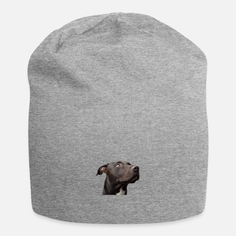 Pitbull - Jersey-Beanie - Grau meliert