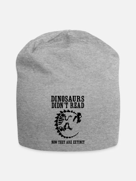 Dinosaurs Didn't Read Now They Are Extinct - Jersey Beanie - heather grey