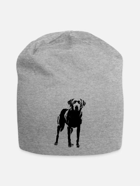 Labrador - Jersey-Beanie - Grau meliert