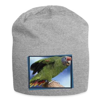 The Red-tailed Parrot - Jersey Beanie - heather grey - Front