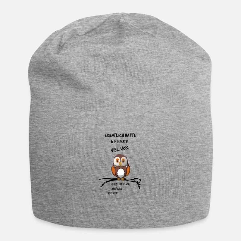 Eigentlich hatte ich heute viel vor - Eule Print - Jersey-Beanie - Grau meliert