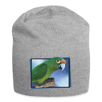 Perruche à front orange - Bonnet en jersey - gris chiné - Devant
