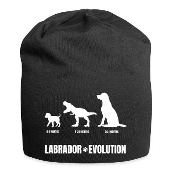 Labrador Puppy Dog Training Puberty Funny Wau - Jersey Beanie - black - Front