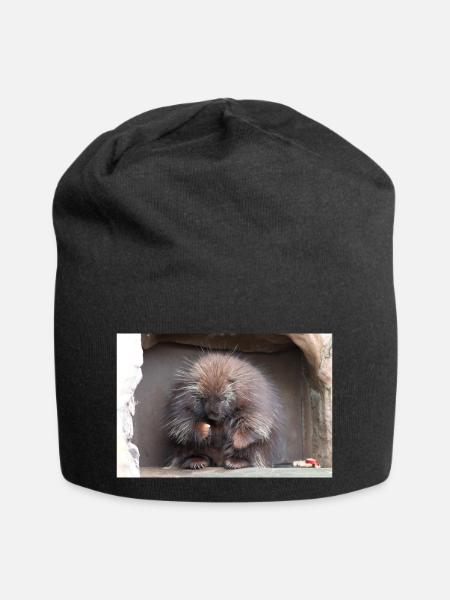 Baumstachler Neuweltstachelschweine Erethizontidae - Jersey-Beanie - Schwarz