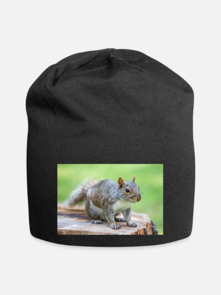 Grauhörnchen Sciurus carolinensis - Jersey-Beanie - Schwarz