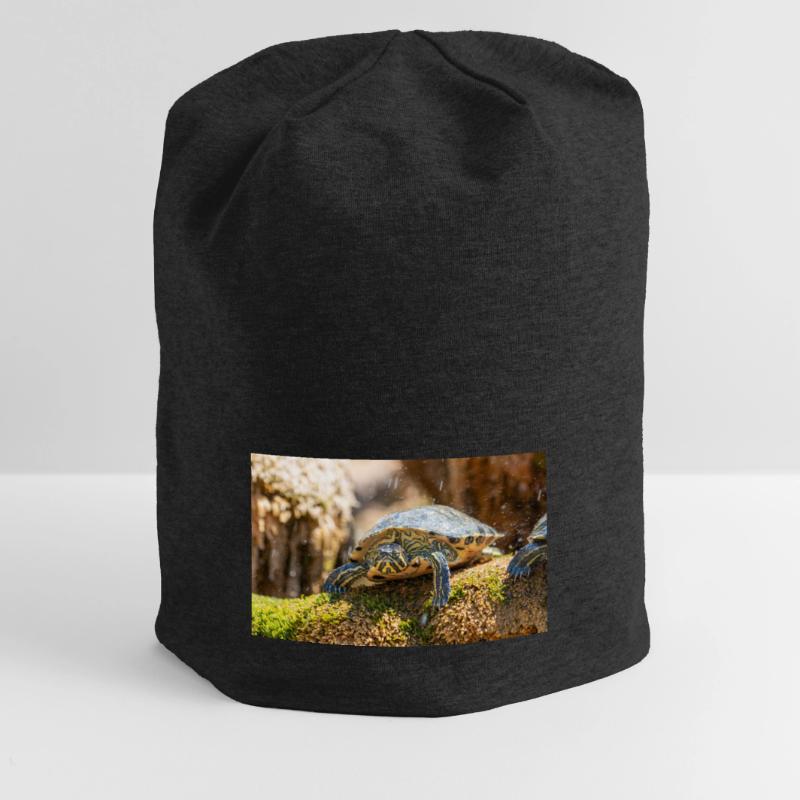 Trachemys scripta scripta scripta Bonnet en jersey