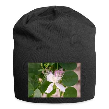 Kapernstrauch auch Flinders-Rose Capparis spinosa - Jersey-Beanie - Schwarz - Vorne