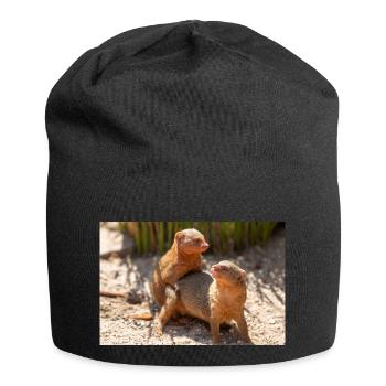 dwarf mongoose (in german Zwergmangusten) Helogale - Jersey Beanie - black - Front