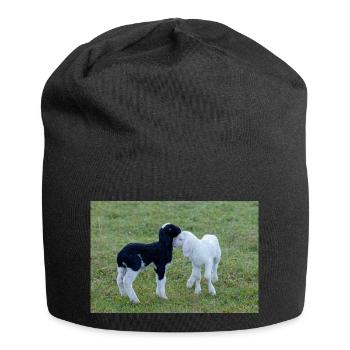 Lambs black and white - Jersey Beanie - black - Front