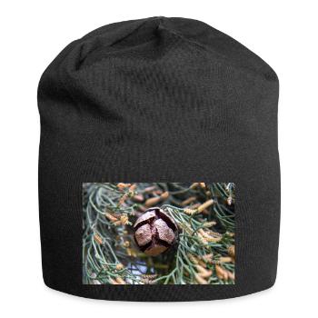 Italian cypress also Mediterranean cypress - Jersey Beanie - black - Front