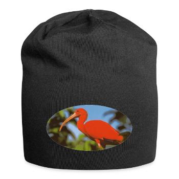 ibis 1 Red Flamingo Amazonia - Jersey-Beanie - Schwarz - Vorne