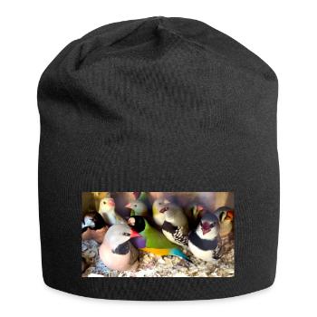 Finches Mix - Jersey Beanie - black - Front
