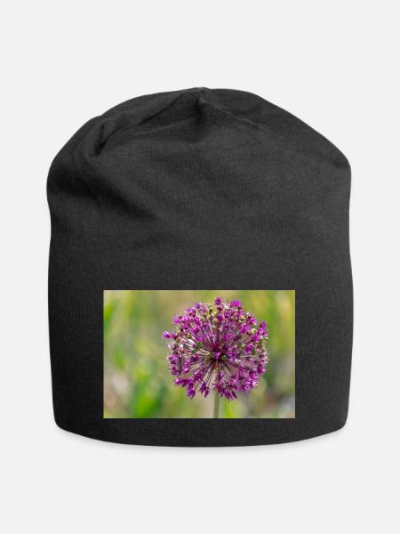 Close-up of a Purple Flower - Giant Leek - Jersey Beanie - black
