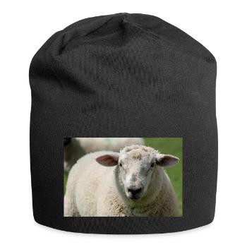 Nahaufnahme eines Schafes - Jersey-Beanie - Schwarz - Vorne