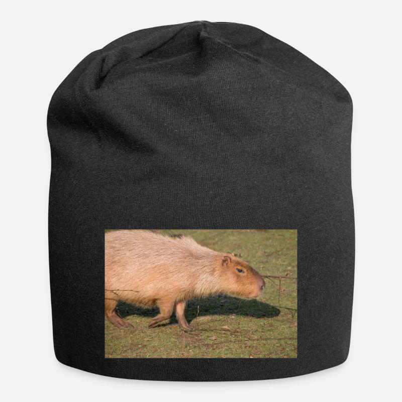 Capybara capybara (Hydrochoerus hydrochaeris) - Jersey Beanie - black