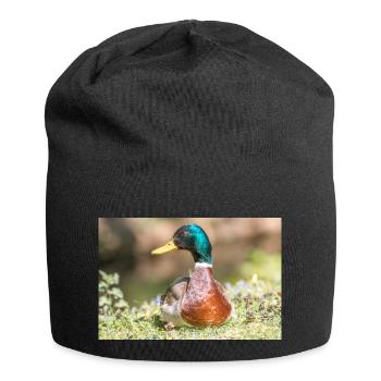 Male Mallard, wild duck (mallard) - Jersey Beanie - black - Front
