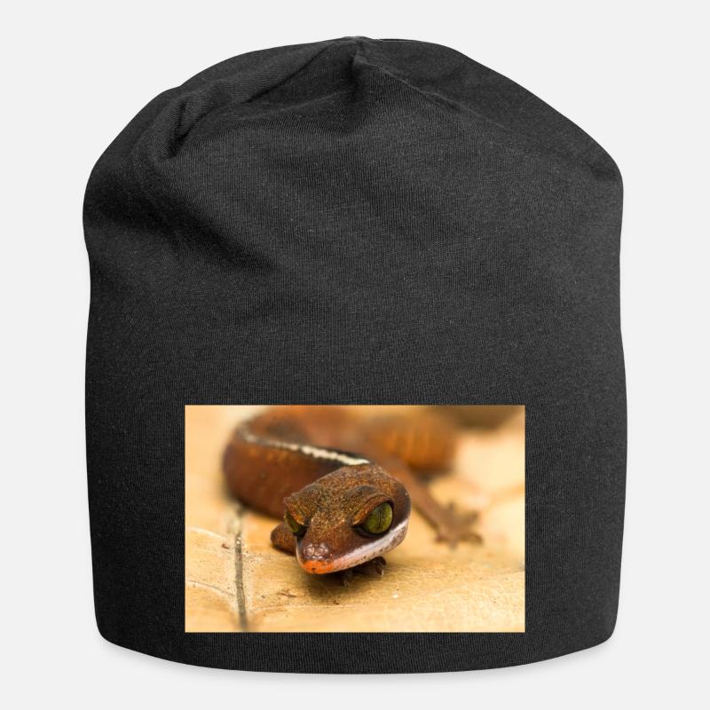 Aeluroscalabotes cf dorsalis - Gecko de Malaisie - Bonnet en jersey - noir