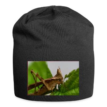 Erianthus versicolor - Monkey Grasshopper - Jersey-Beanie - Schwarz - Vorne