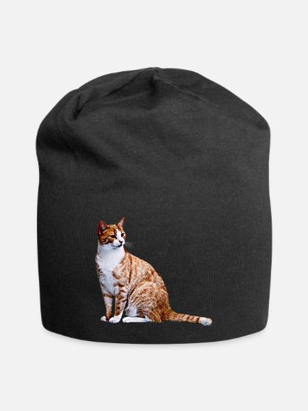 Cat Cats Cat Cats Cat Love - Jersey Beanie - black