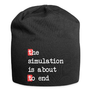 Das Ende der Simulation – Matrix trifft Realität - Jersey-Beanie - Schwarz - Vorne