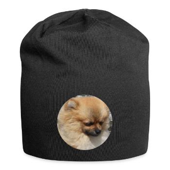 Chien mignon de race poméranien - Bonnet en jersey - noir - Devant