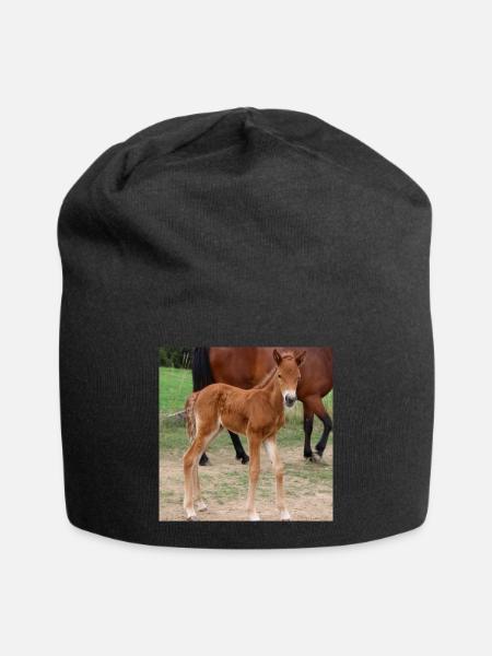 Pferd Pferdeposter - Jersey-Beanie - Schwarz
