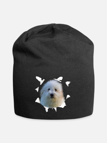 Coton de Tulear - Coton de Tulear Hund - Jersey-Beanie - Schwarz