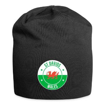 St Davids Welsh Dragon Emblem - Jersey Beanie - black - Front