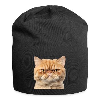 Grumpy Ginger Cat Studio Portrait - Jersey Beanie - black - Front
