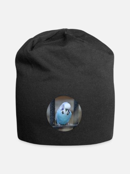 Blauer Wellensittich Wellensittiche - Jersey-Beanie - Schwarz