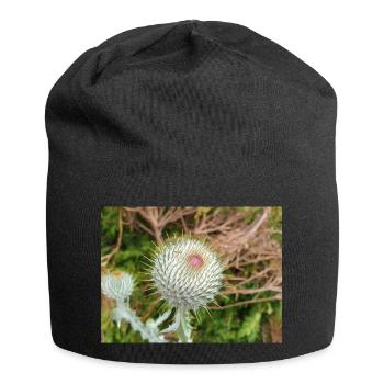 Scotch Baumwolldistel auch Wolldistel - Jersey-Beanie - Schwarz - Vorne