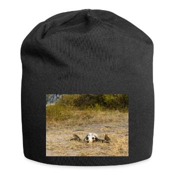 crâne d’un buffle du Cap Paysage en Namibie - Bonnet en jersey - noir - Devant
