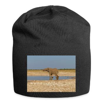 elephant and Landscape in a Etosha National Park - Jersey Beanie - black - Front