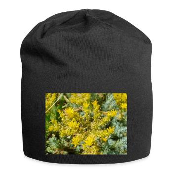 goldmoss stonecrop aussi mossy stonecrop Sedum acre - Bonnet en jersey - noir - Devant