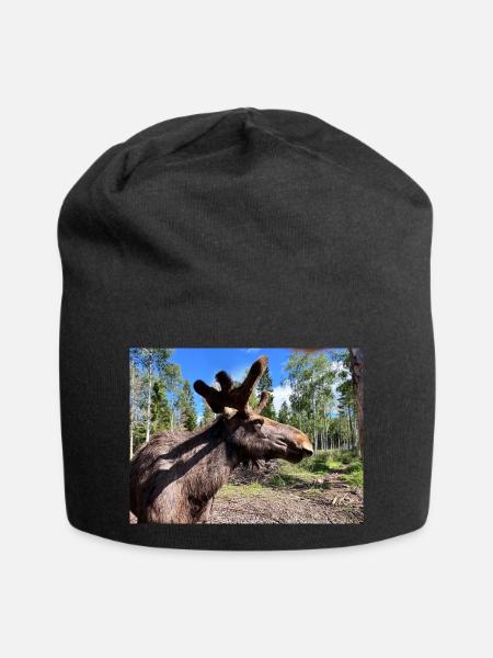 Elch - Jersey-Beanie - Schwarz