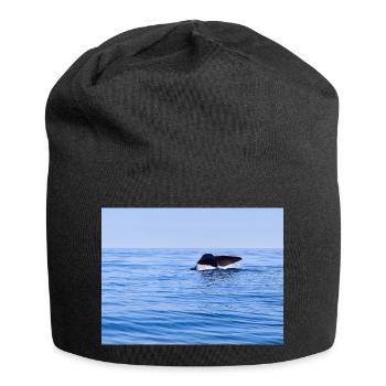 Wal - Jersey-Beanie - Schwarz - Vorne