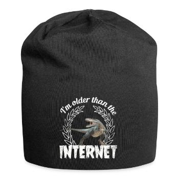 I'm older than the Internet + Dinosaur retro - Jersey Beanie - black - Front