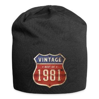 43 Years Old Vintage 1981 Limited Edition 43rd - Jersey Beanie - black - Front