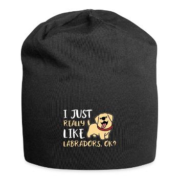 Labs - Jersey Beanie - black - Front
