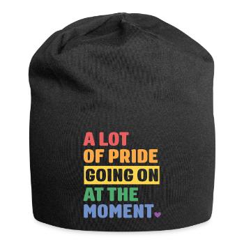 LGBTQ Pride Month - Viel Pride - Jersey-Beanie - Schwarz - Vorne