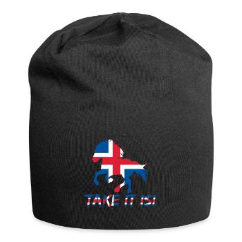 Icelandic horse Take it Isi saying flag - Jersey Beanie - black - Front