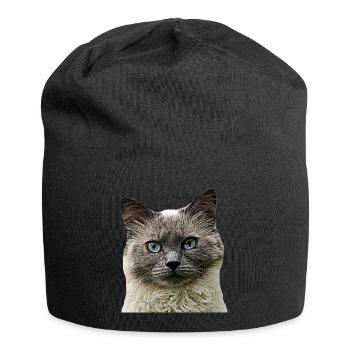 Cat Cats cat Cats Cat Head - Jersey Beanie - black - Front
