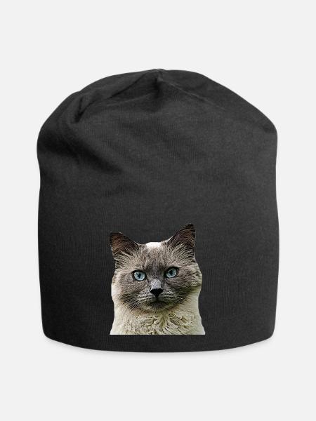 Cat Cats cat Cats Cat Head - Jersey Beanie - black