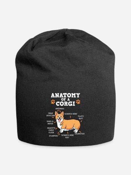 Welsh Corgi Pembroker Hund Anatomie Geschenk - Jersey-Beanie - Schwarz