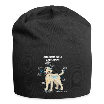 Chien Labrador - Bonnet en jersey - noir - Devant