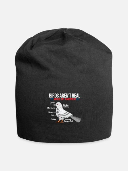 Birds Aren't Real - Jersey-Beanie - Schwarz