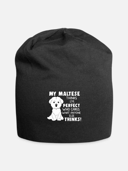 My Maltese thinks Maltese dog pet gift - Jersey Beanie - black