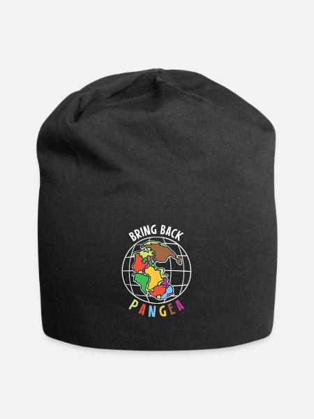 Bring Back Pangea Geologie Geografie Geschenk - Jersey-Beanie - Schwarz
