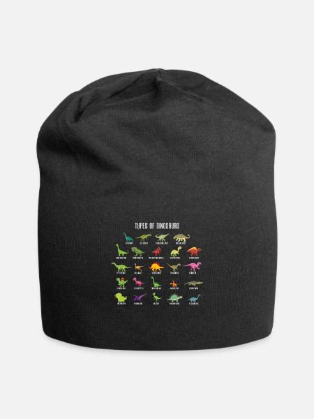 Types Of Dinosaur Dinosaur obsessed shirt - Jersey Beanie - black